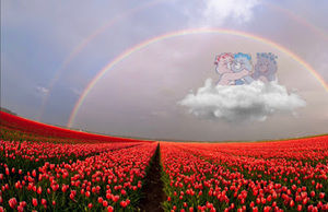 Meet your Posher, Adriana